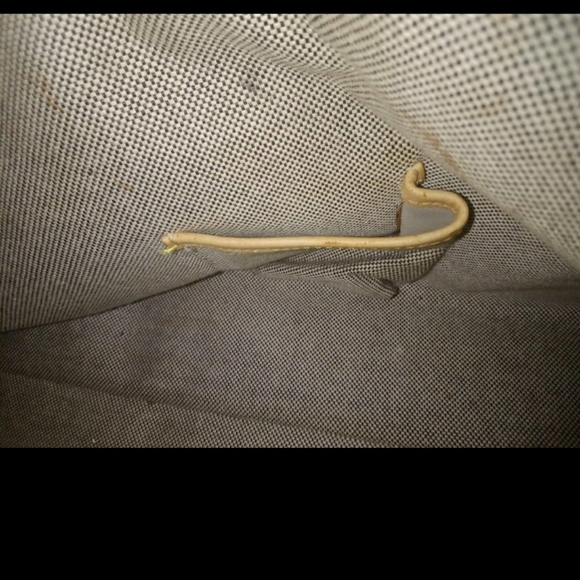 Dooney and Bourke Black & Tan Domed Leather Satchel Logo - Picture 5 of 16